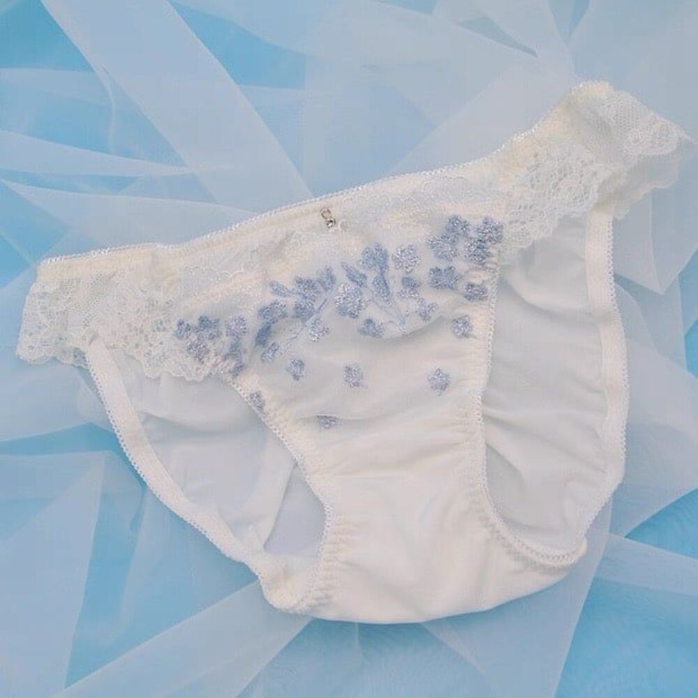 White Blue Floral Embroidered Lace Panties Romantic Y2K